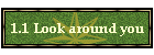 1.1 Look around you