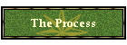 The Process