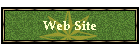 Web Site