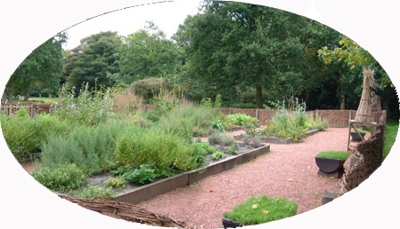 Garden in September 2004