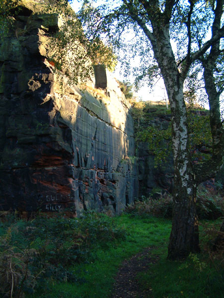 Runcorn Old Quarry photo