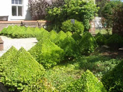Photo courtesy of Emmaus House
