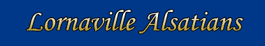 Lornaville Alsatians