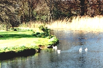 Moat at Newtimber Place