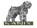 Kanix Graphic