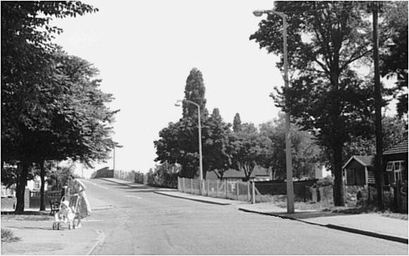 Front lane 61.jpg (42253 bytes)