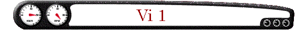 Vi 1