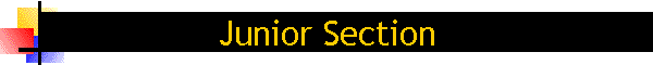 Junior Section