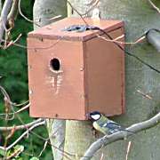 Barford birdbox
