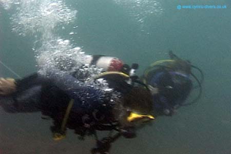 Divers