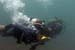 Divers