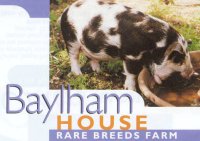 Lots to see at the Baylham rare Breeds Farm
