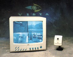 cctv.jpg (16013 bytes)