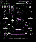 hist11.gif (2291 bytes)