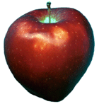 An apple for the teacher!
