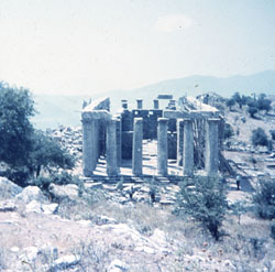 Temple of Aploolo, Bassae