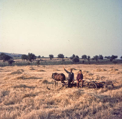 Early morning in Macedonia