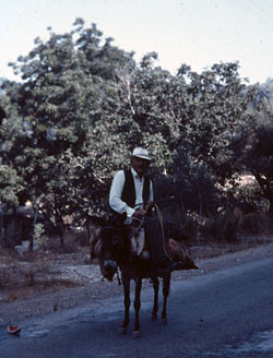 Old man on a donkey near Andritsena