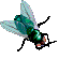 Menelaus' fly