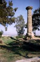 The one remaining column of the Temple of Athena at Gela