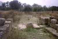 Megara Hyblaea ruins