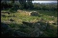 [The Temple of Artemis Orthia]