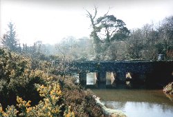 River Bridge