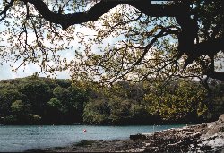 Helford River