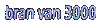 Bran Van 3000