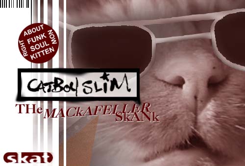 Fatboy Slim - The Rockafeller Skank.JPG (30705 bytes)