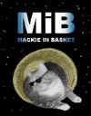 MIB - Men In Black.JPG (15722 bytes)