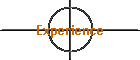 Experience