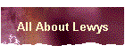 All About Lewys