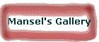 Mansel's Gallery