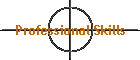 Professional Skills