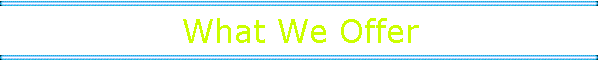 What We Offer