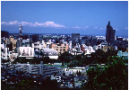 The City Center from Sendai Castle.