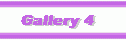 Gallery 4