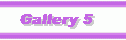Gallery 5