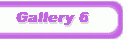 Gallery 6