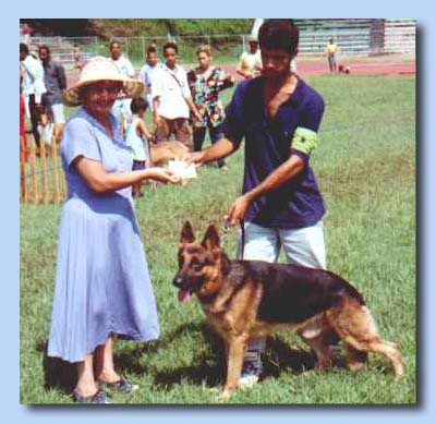 Awarding Best Puppy in German Shepherd