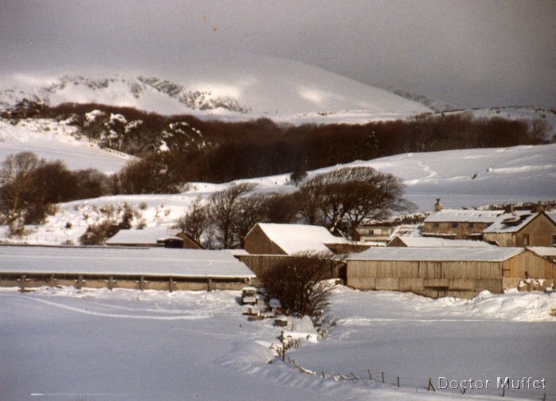 Loking North West to Beck Farm and Black Combe 1996