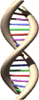 DNA Graphic