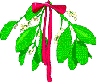 Mistletoe