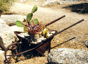 Wheelbarrow at Solunto