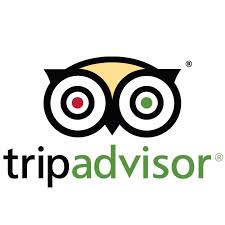 minymor trip advisor