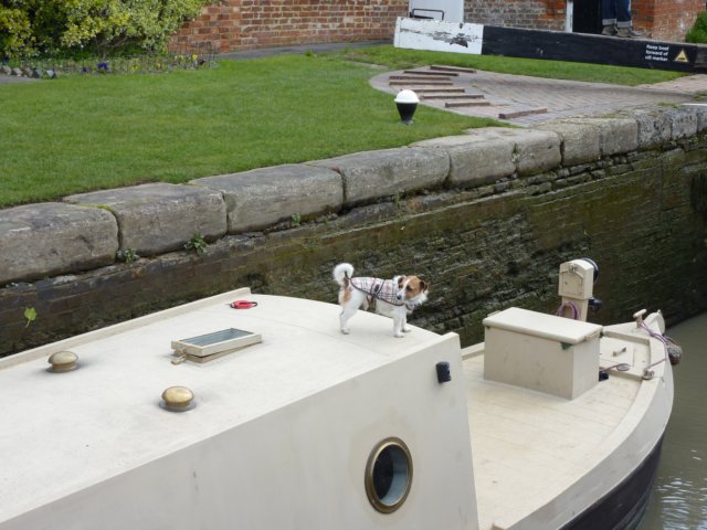 p1000268.jpg