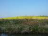 p1000720_small.jpg