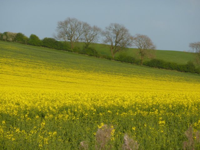 p1000724.jpg
