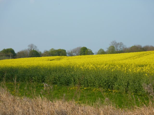 p1000730.jpg